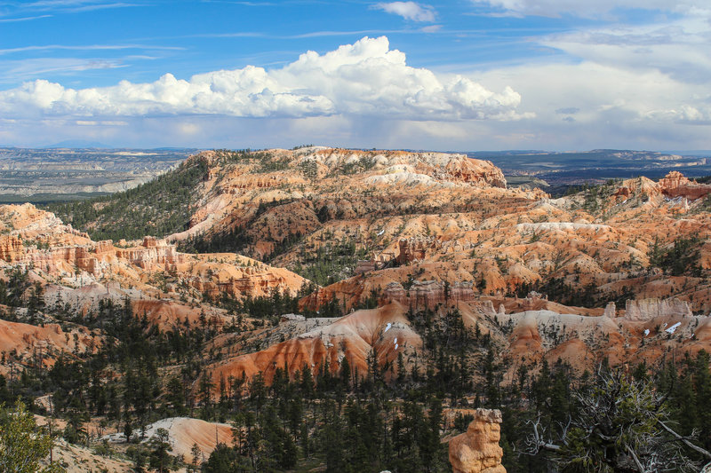 View into the Bryce Canyon amphitheater from Rim Trail.