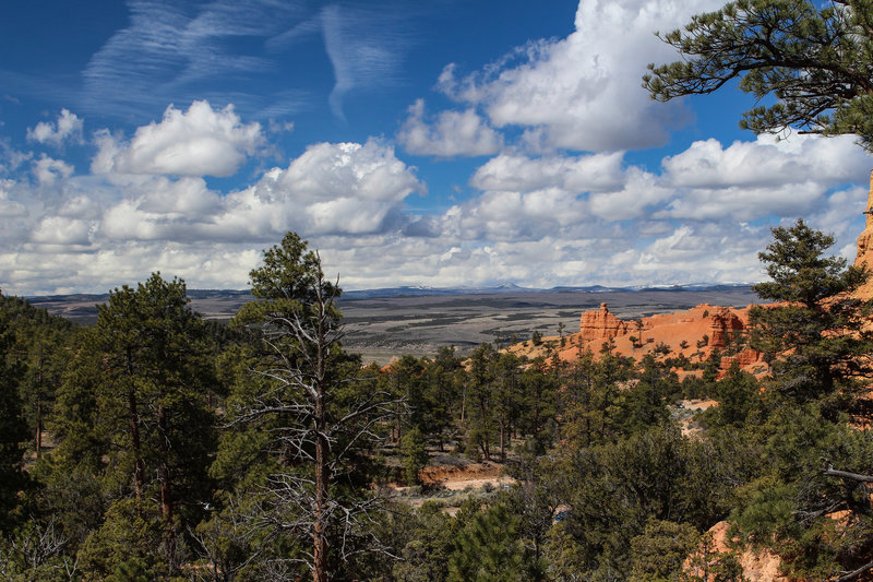 View from Pink Ledges Trail