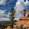 Rock formations that really look like people