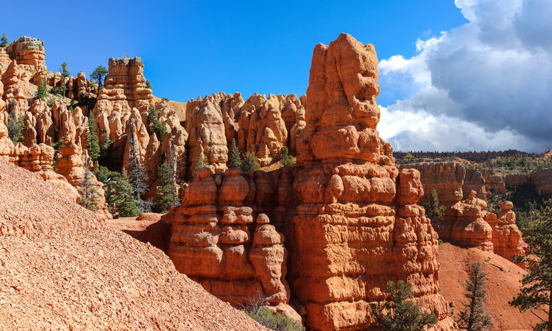 Red Canyon hoodoos