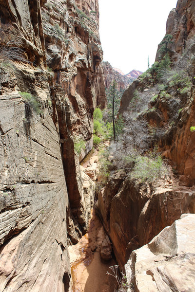 Looking back down the extremely steep and narrow trail up Water Canyon.