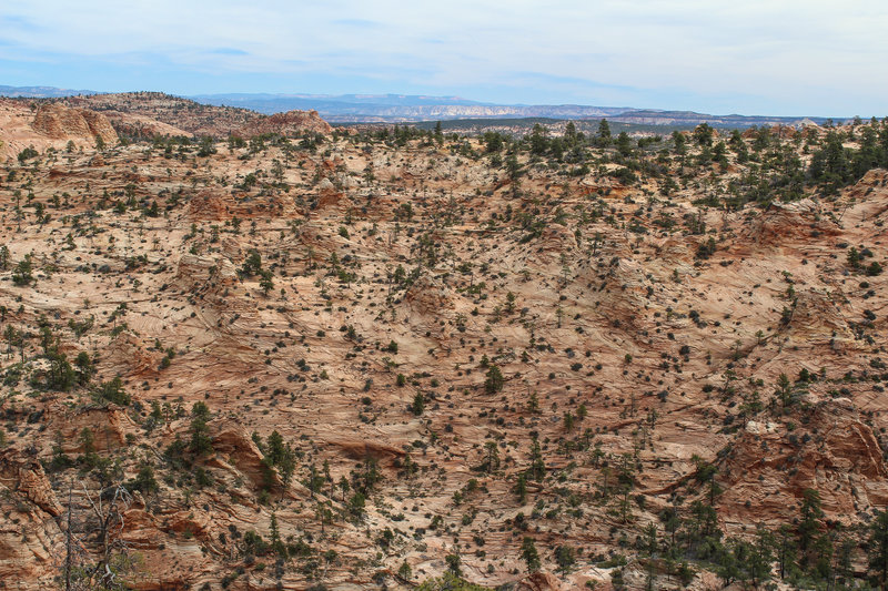 Overlooking Water Canyon from the top.