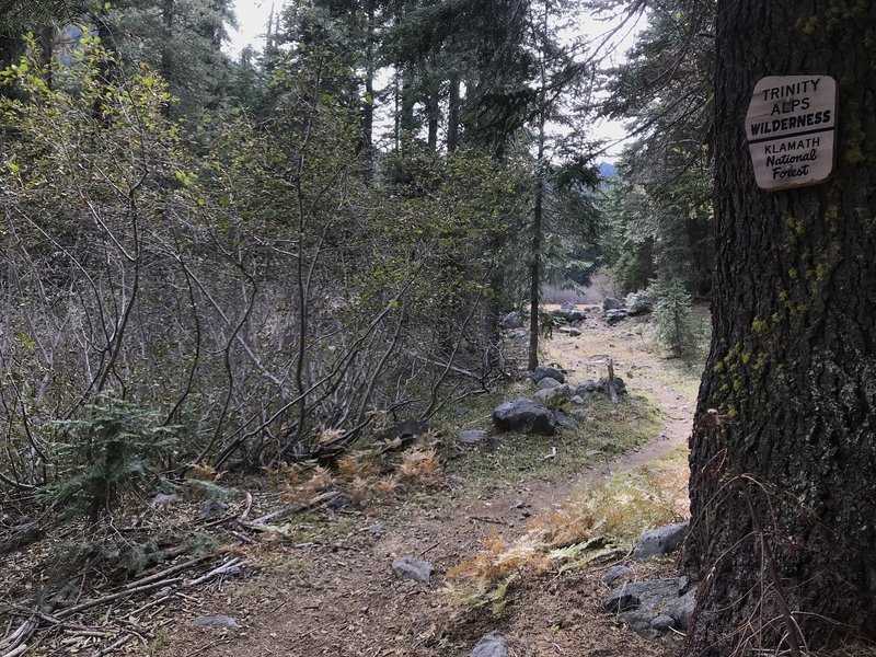 Trinity Alps Wilderness boundary sign on Trail Gulch Trail in Klamath National Forest.