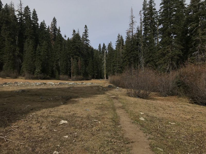 Meadow on Trail Gulch Trail