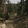 Trail Gulch Trail in Trinity Alps Wilderness