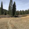 Fall in a meadow on Trail Gulch Trail in Trinity Alps Wilderness.