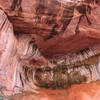 Alcove at the end of Taylor Creek Trail.