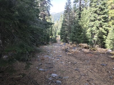 Trail Gulch Trail in Trinity Alps Wilderness.
