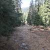 Trail Gulch Trail in Trinity Alps Wilderness.