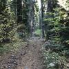 Fall on Canyon Creek Trail in Marble Mountain Wilderness.