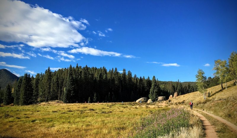 Catamount Trail is in the northern corner of the Ring the Peak System.