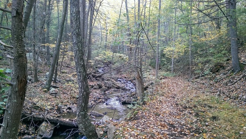 Mudhole Gap Trail in the fall.