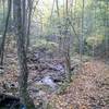 Mudhole Gap Trail in the fall.