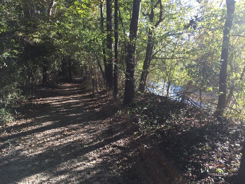 River side of the trails