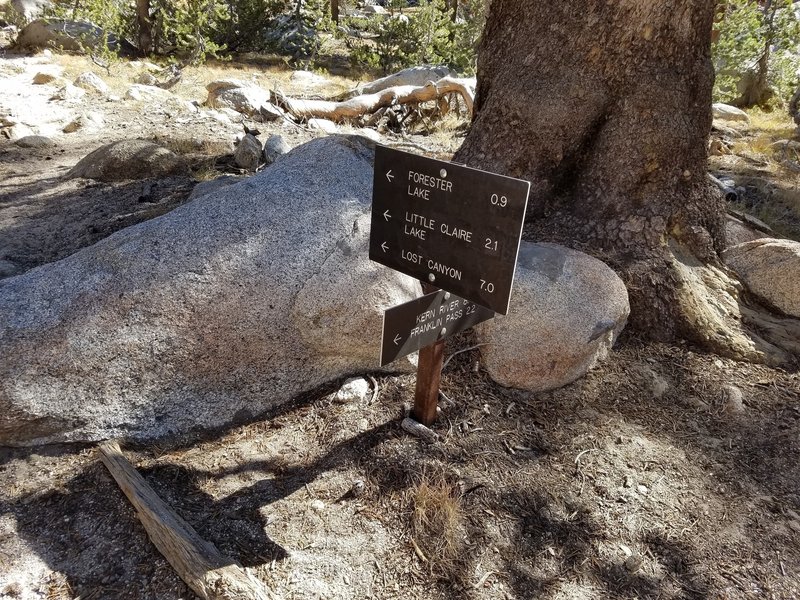 Intersection of Soda Creek and Rattlesnake Trails.