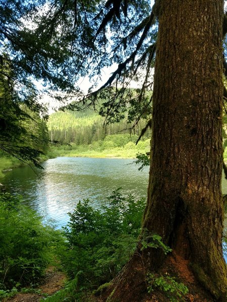 Spider Lake view from trail on Southside.