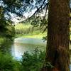 Spider Lake view from trail on Southside.