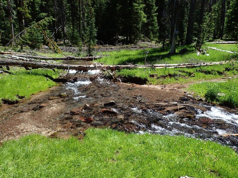 Crossing Thielsen Creek near Timothy Meadows.