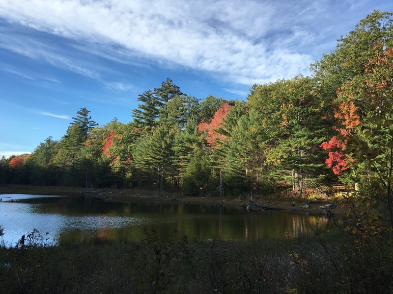 Beaver pond just before the turnoff to Devil's Den Mountain summit.