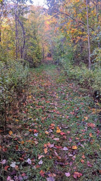 Just ahead of the trailhead, this path parallels private property. It appears you may be trespassing, but not to worry, you are headed in the right direction.