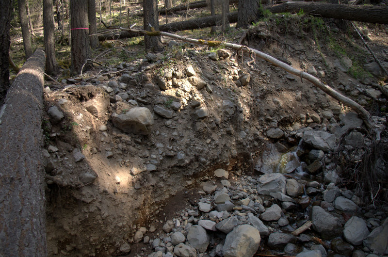 One of several washouts of the Red Blanket Trail.