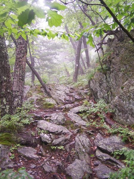 Wet South Taconic Trail.