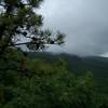 Fog on Bash Bish Mountain.