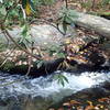 Log bridge crossing some nice little cascades.