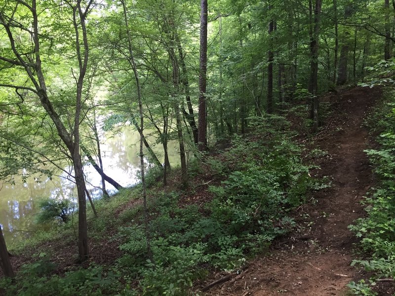 Trail runs along the west side of Allatoona Creek. Beautiful area of the park.