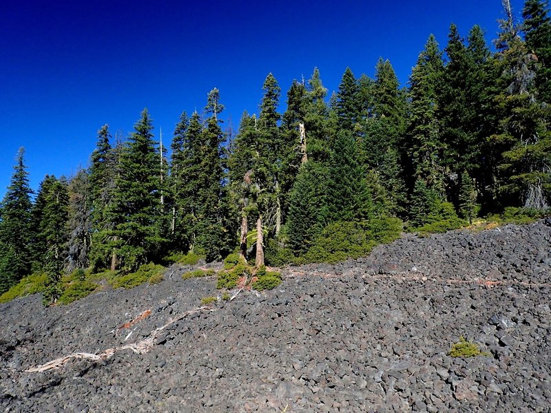 The trail goes through lava flows on the west side of Brown Mountain