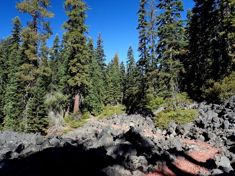 On the trail southwest of Brown Mountain