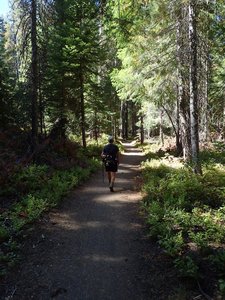 On the High Lakes Trail near Lake of the Woods