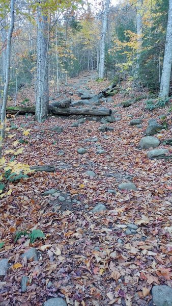 The beginning of the rock stairs