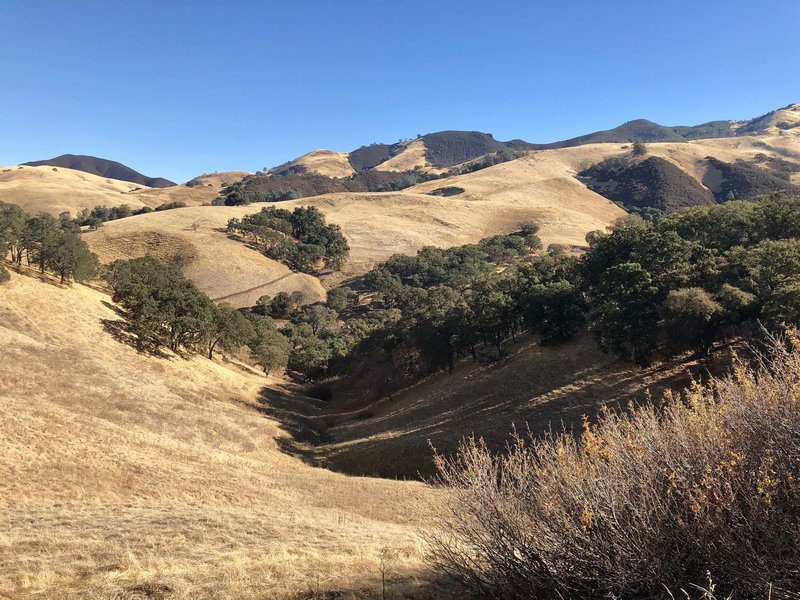 Falcon Road Trail