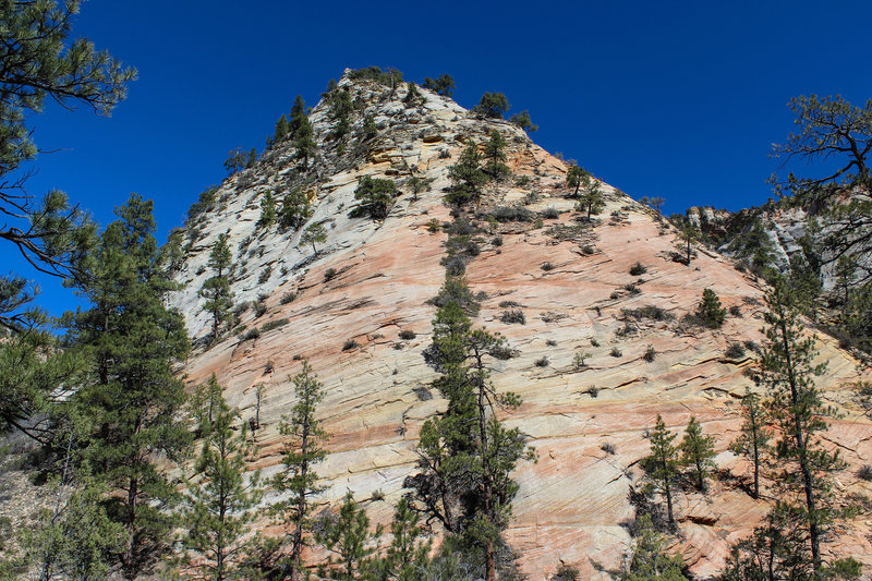 Slickrock all around on East Rim Trail