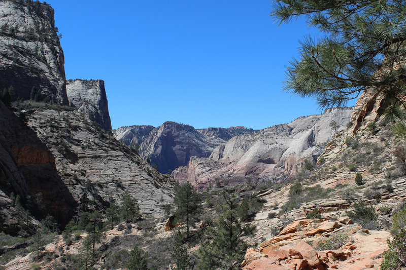 Zion Canyon from afar