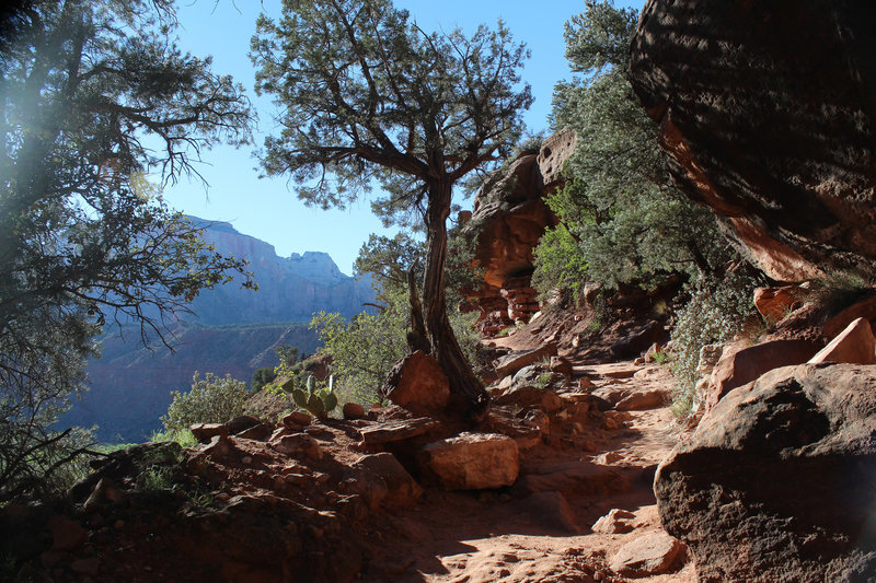 Sunset over Watchman Trail