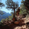 Sunset over Watchman Trail