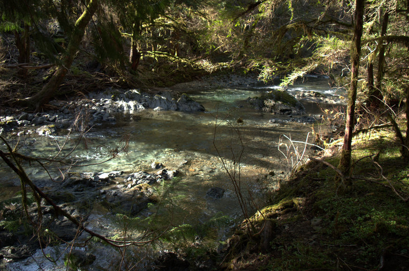 Briggs Creek from the trail.