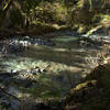 Briggs Creek from the trail.