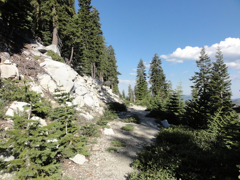 Bingham Lake Trail