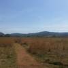 A view from the western path of the Klipriviersberg Nature Reserve