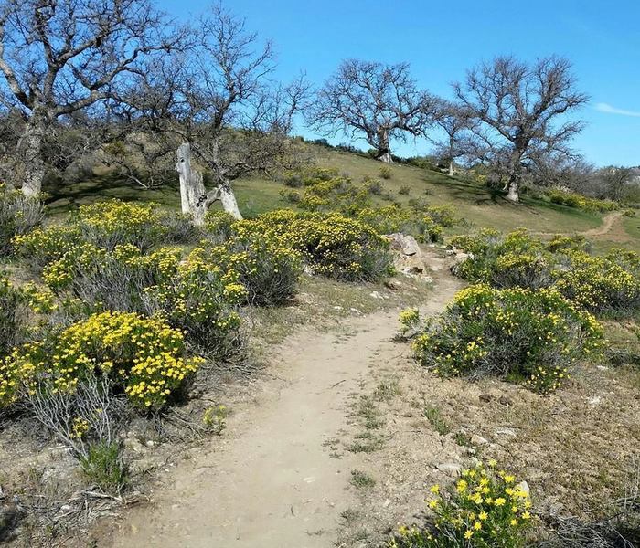 Mature oaks and wildflowers are plentiful.