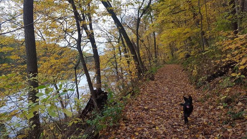 Heading east with the Wisconsin River on the left.