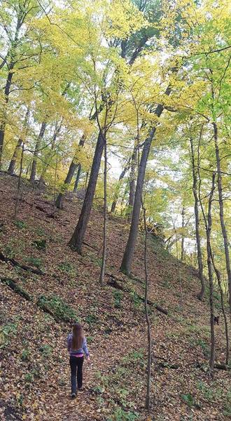 Heading down the switchbacks near the trail's intersection with the Sentinel Ridge Trail.