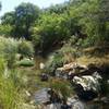 A tranquil view down by the Klip River.