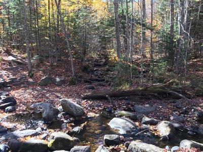 Small stream to cross at the outset.