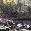 Small stream to cross at the outset.