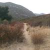 Espinosa Trail leading to into Pine Creek Wilderness. October 18, 2017.