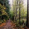 This stretch of Connelly Creek Trail feels like an old country road.